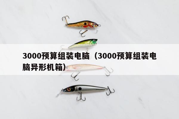 3000预算组装电脑（3000预算组装电脑异形机箱）