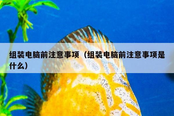 组装电脑前注意事项（组装电脑前注意事项是什么）