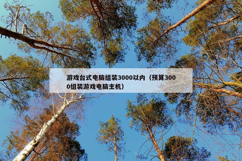 游戏台式电脑组装3000以内（预算3000组装游戏电脑主机）