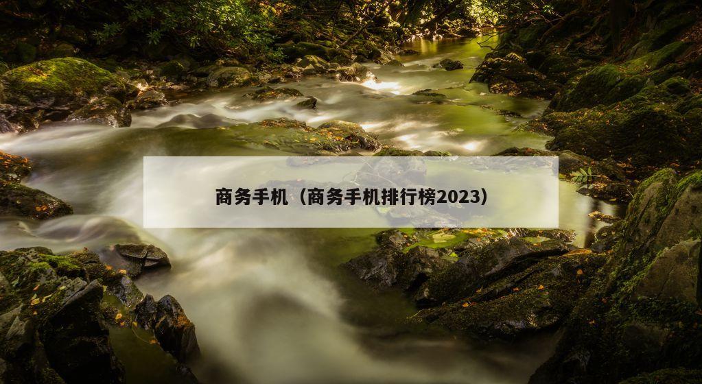 商务手机（商务手机排行榜2023）