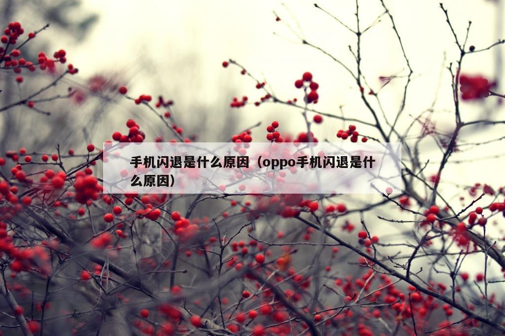 手机闪退是什么原因（oppo手机闪退是什么原因）