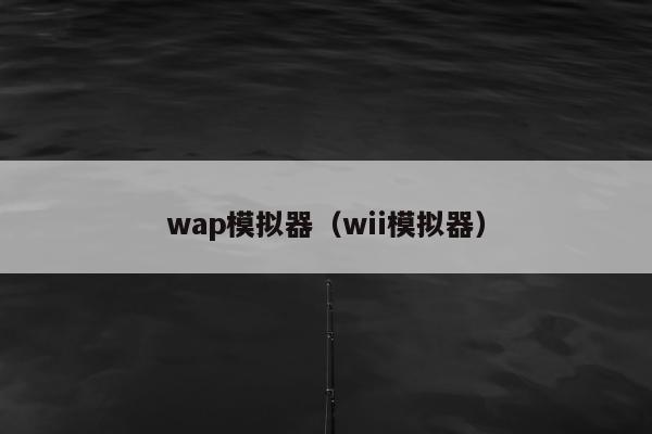 wap模拟器（wii模拟器）