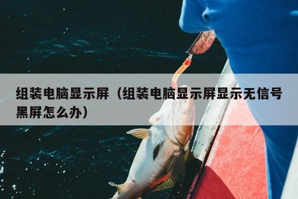 组装电脑显示屏（组装电脑显示屏显示无信号黑屏怎么办）