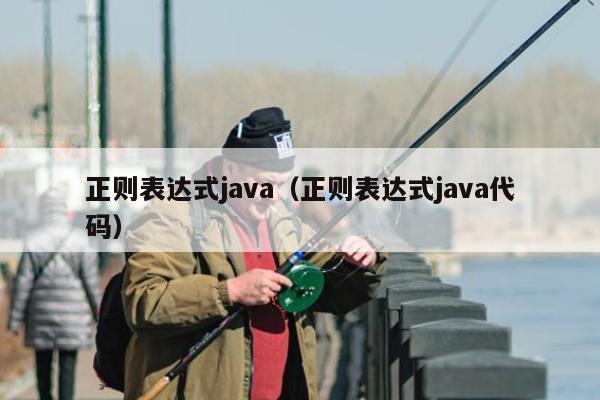 正则表达式java（正则表达式java代码）