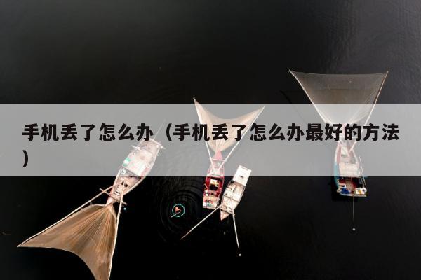 手机丢了怎么办（手机丢了怎么办最好的方法）