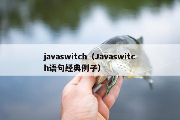 javaswitch（Javaswitch语句经典例子）