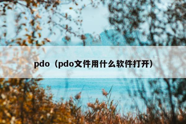 pdo（pdo文件用什么软件打开）