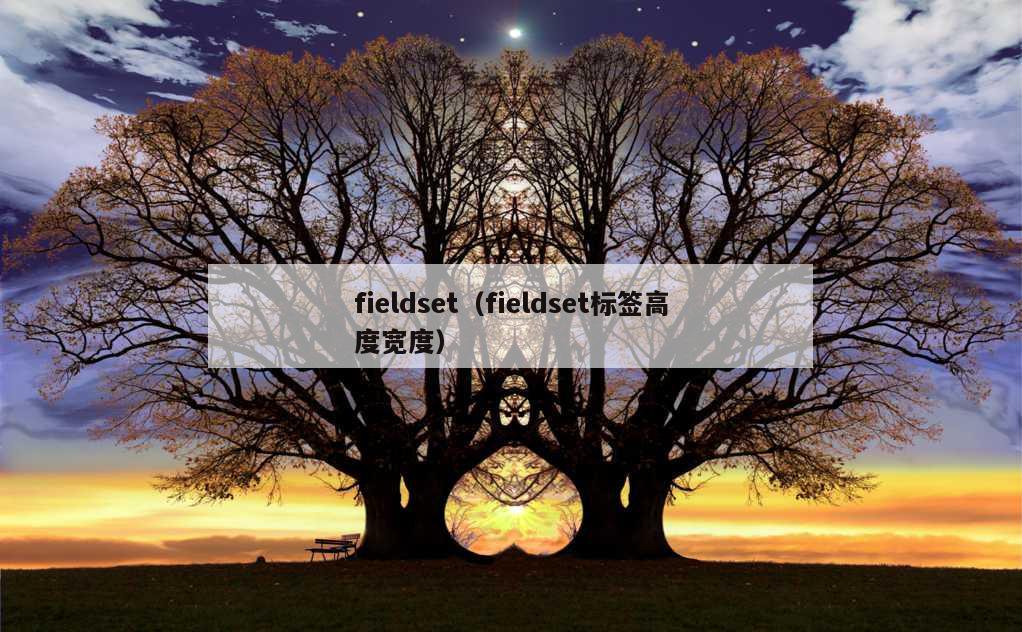 fieldset（fieldset标签高度宽度）