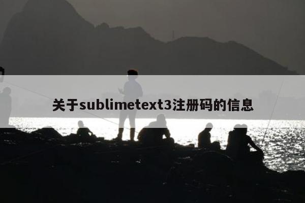 关于sublimetext3注册码的信息