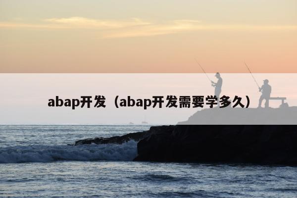 abap开发（abap开发需要学多久）