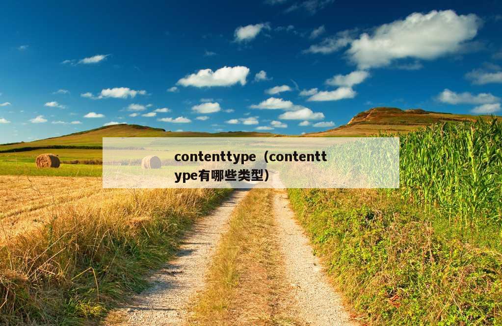 contenttype（contenttype有哪些类型）