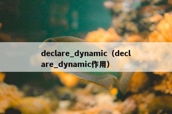 declare_dynamic（declare_dynamic作用）