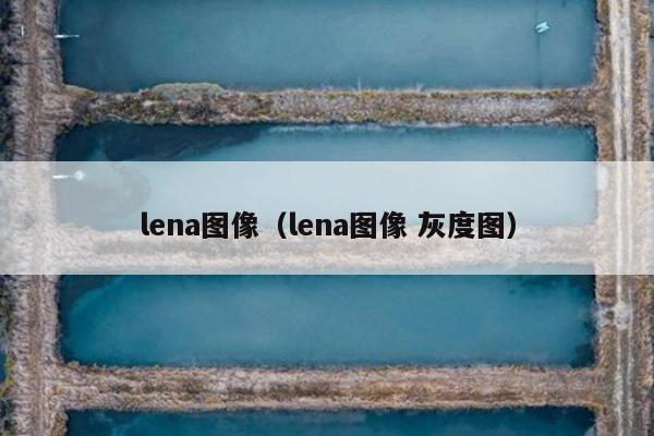 lena图像（lena图像 灰度图）