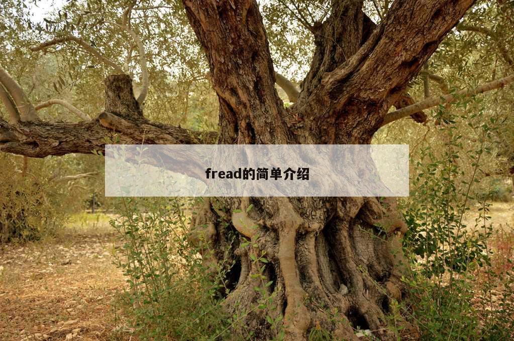 fread的简单介绍