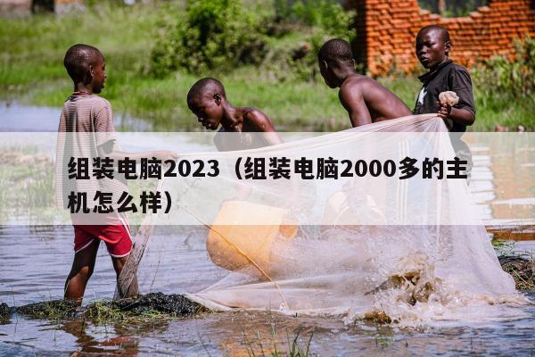 组装电脑2023（组装电脑2000多的主机怎么样）