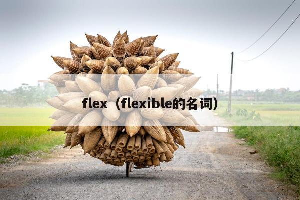 flex（flexible的名词）