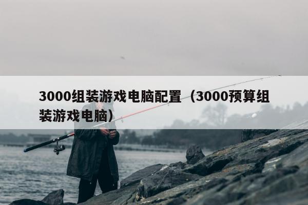 3000组装游戏电脑配置（3000预算组装游戏电脑）