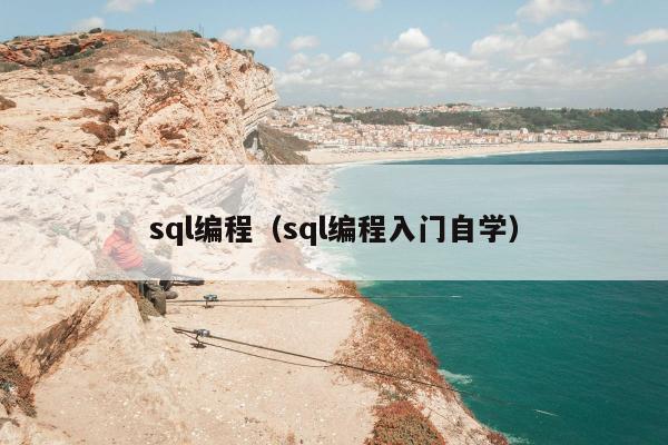 sql编程（sql编程入门自学）