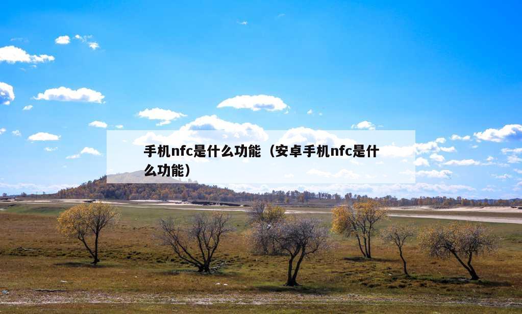 手机nfc是什么功能（安卓手机nfc是什么功能）