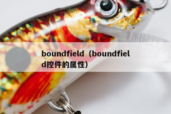 boundfield（boundfield控件的属性）