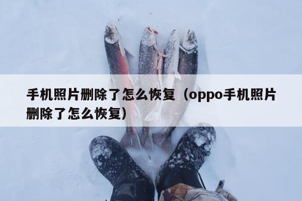 手机照片删除了怎么恢复（oppo手机照片删除了怎么恢复）