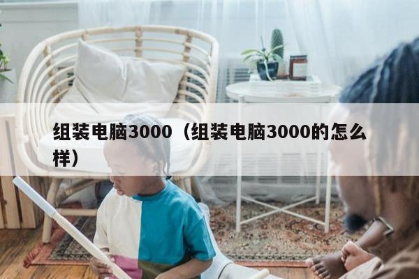 组装电脑3000（组装电脑3000的怎么样）