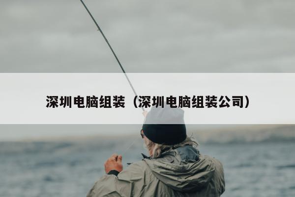 深圳电脑组装（深圳电脑组装公司）