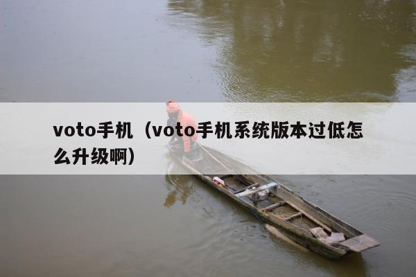 voto手机（voto手机系统版本过低怎么升级啊）