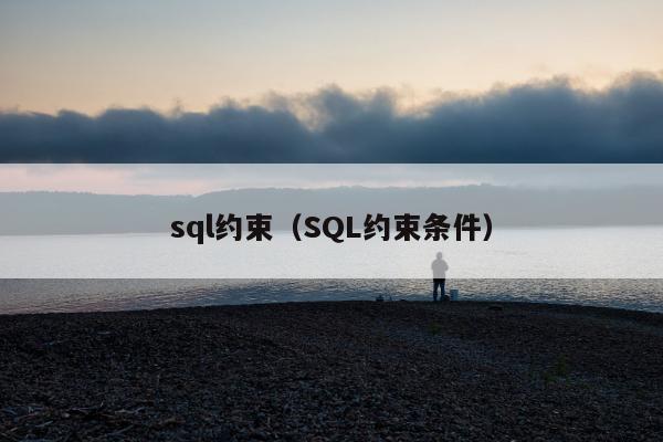 sql约束（SQL约束条件）