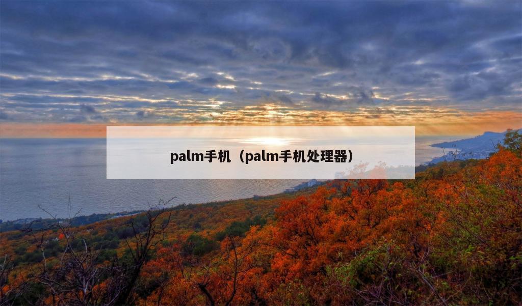 palm手机（palm手机处理器）