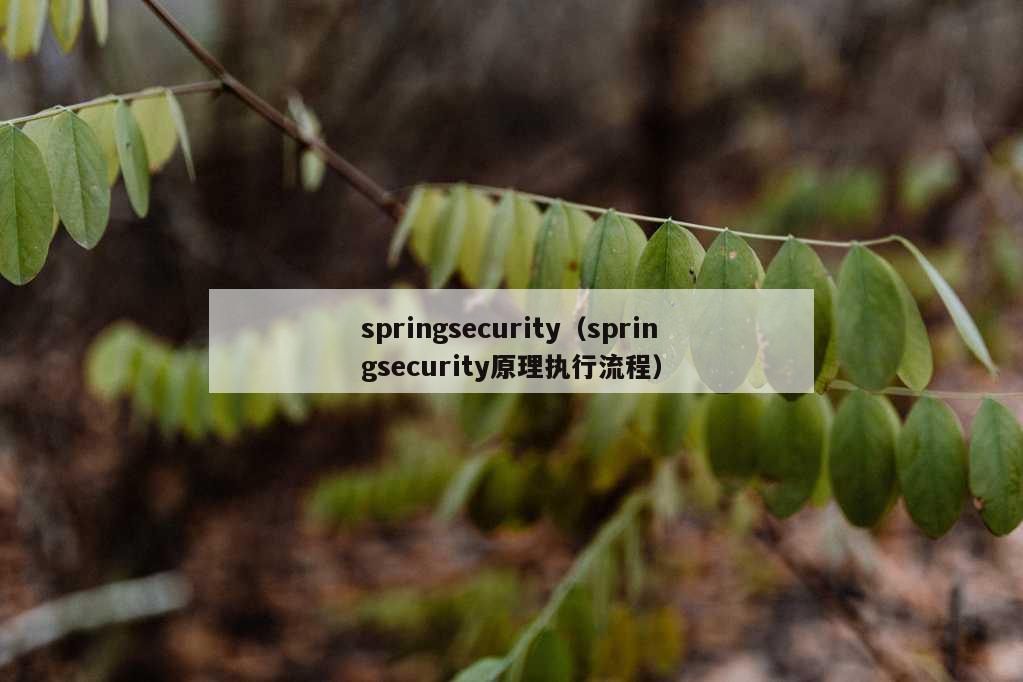 springsecurity（springsecurity原理执行流程）