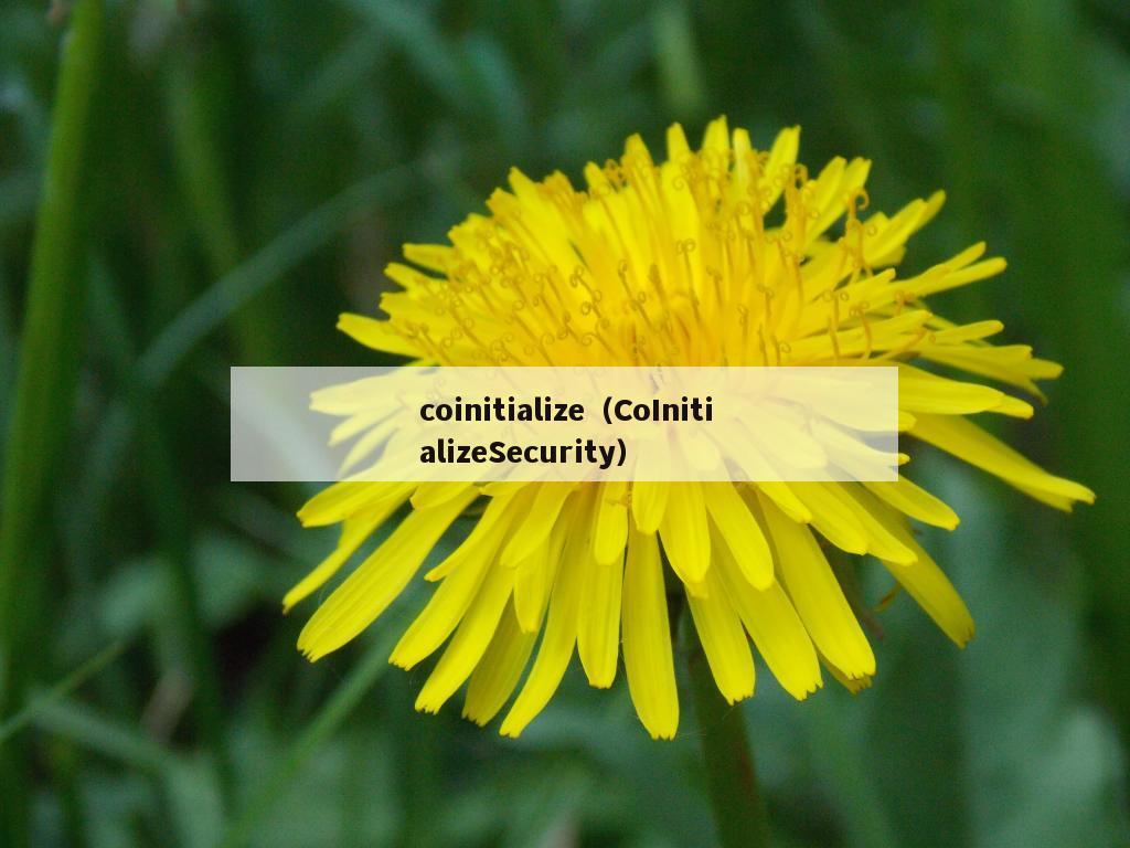 coinitialize（CoInitializeSecurity）