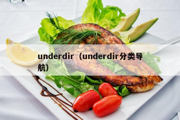 underdir（underdir分类导航）