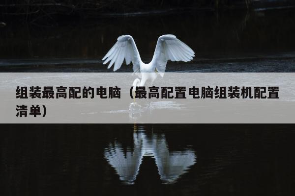 组装最高配的电脑（最高配置电脑组装机配置清单）