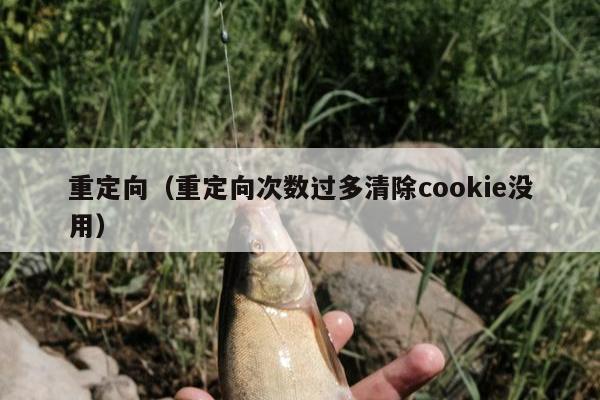 重定向（重定向次数过多清除cookie没用）