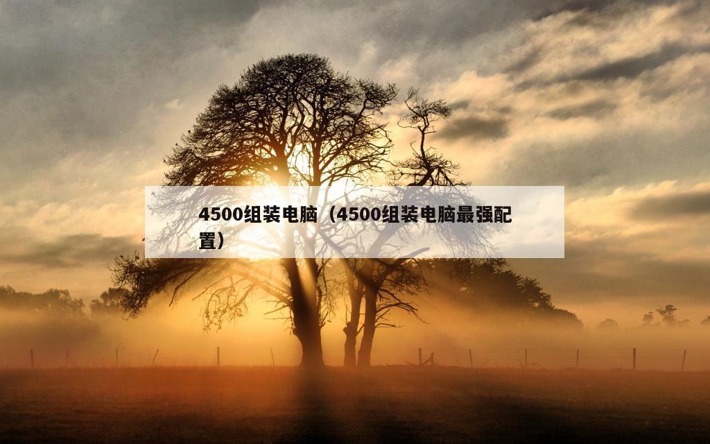 4500组装电脑（4500组装电脑最强配置）