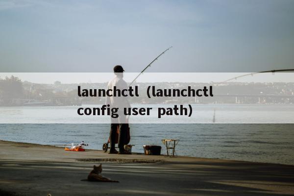 launchctl（launchctl config user path）