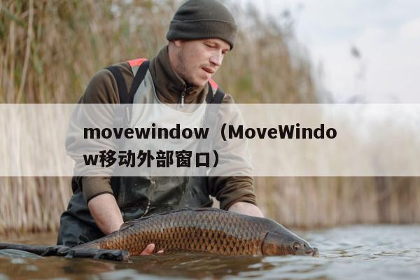 movewindow（MoveWindow移动外部窗口）