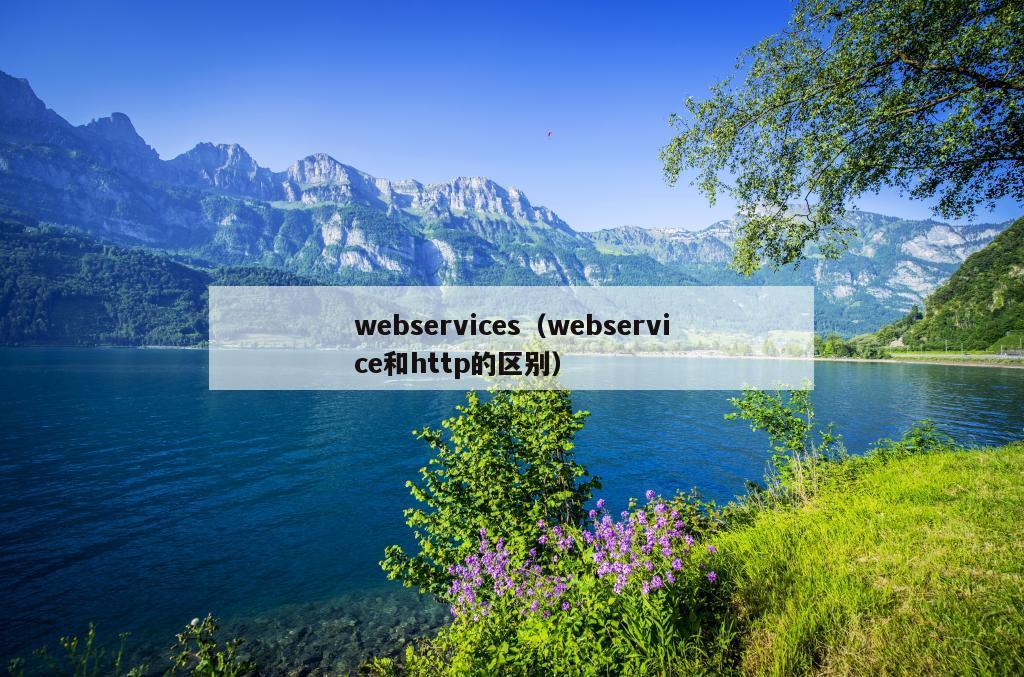 webservices（webservice和http的区别）