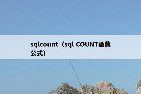 sqlcount（sql COUNT函数公式）