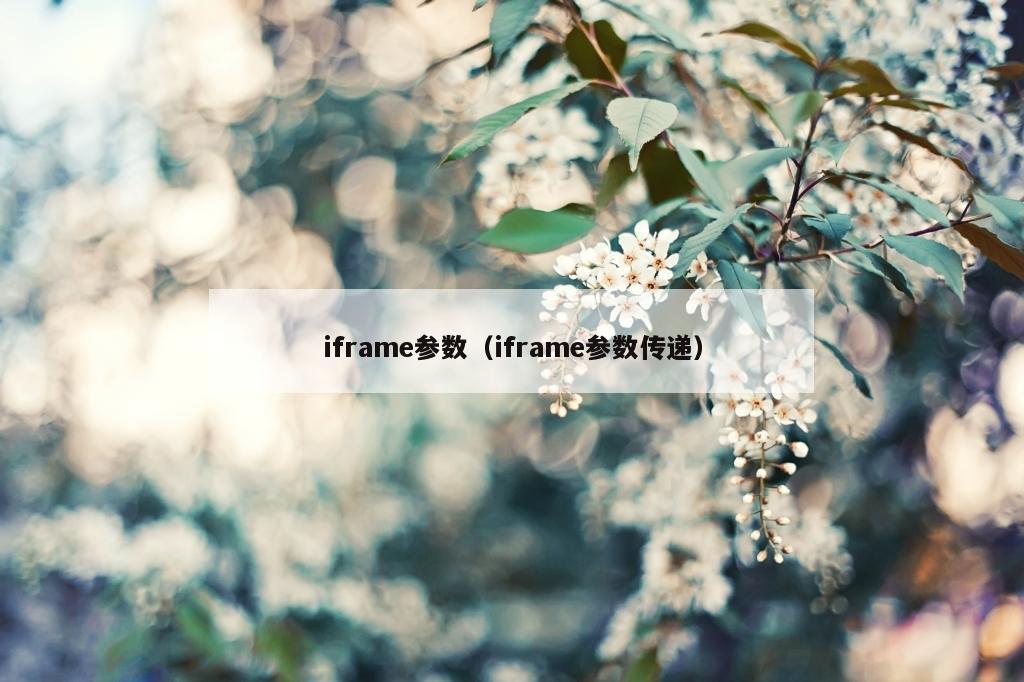 iframe参数（iframe参数传递）