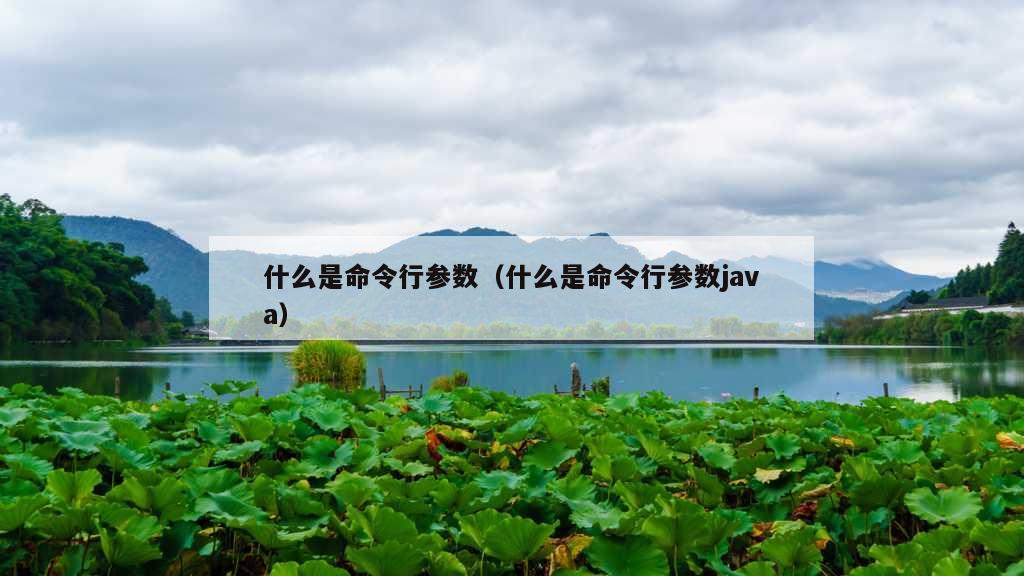 什么是命令行参数（什么是命令行参数java）