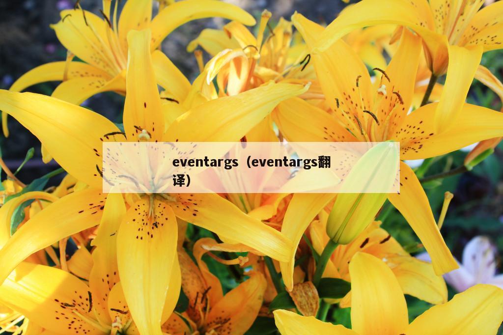 eventargs（eventargs翻译）