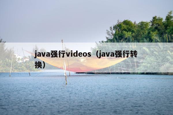 java强行videos（java强行转换）