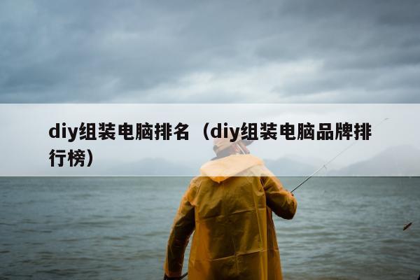 diy组装电脑排名（diy组装电脑品牌排行榜）