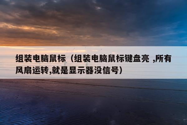 组装电脑鼠标（组装电脑鼠标键盘亮 ,所有风扇运转,就是显示器没信号）