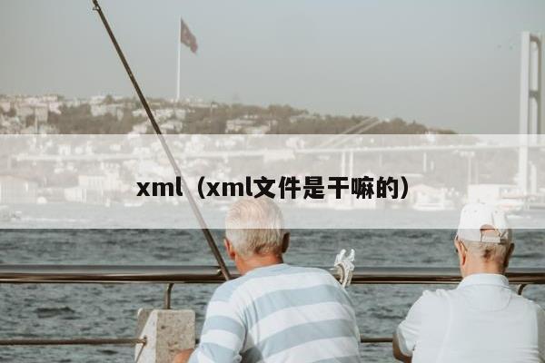 xml（xml文件是干嘛的）