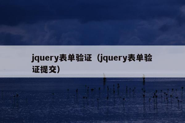 jquery表单验证（jquery表单验证提交）