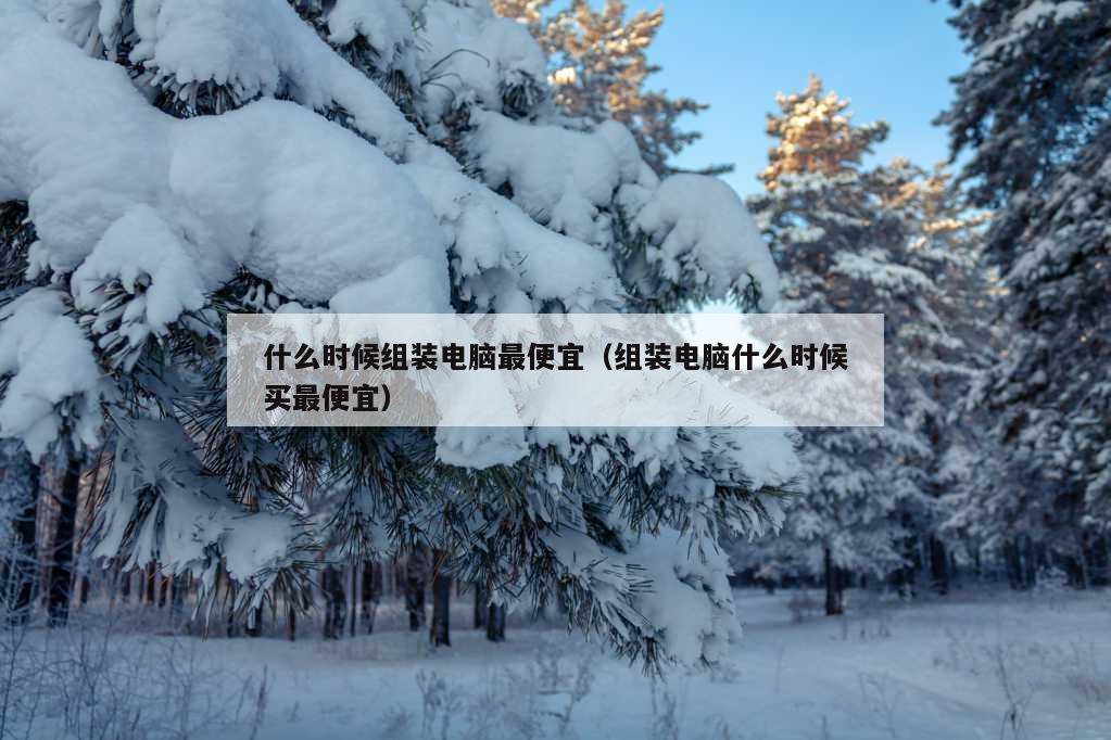 什么时候组装电脑最便宜（组装电脑什么时候买最便宜）