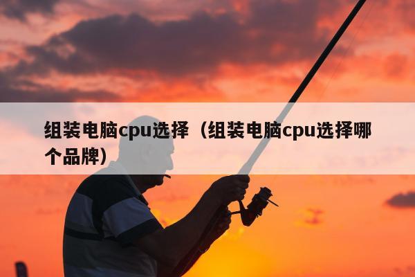 组装电脑cpu选择（组装电脑cpu选择哪个品牌）